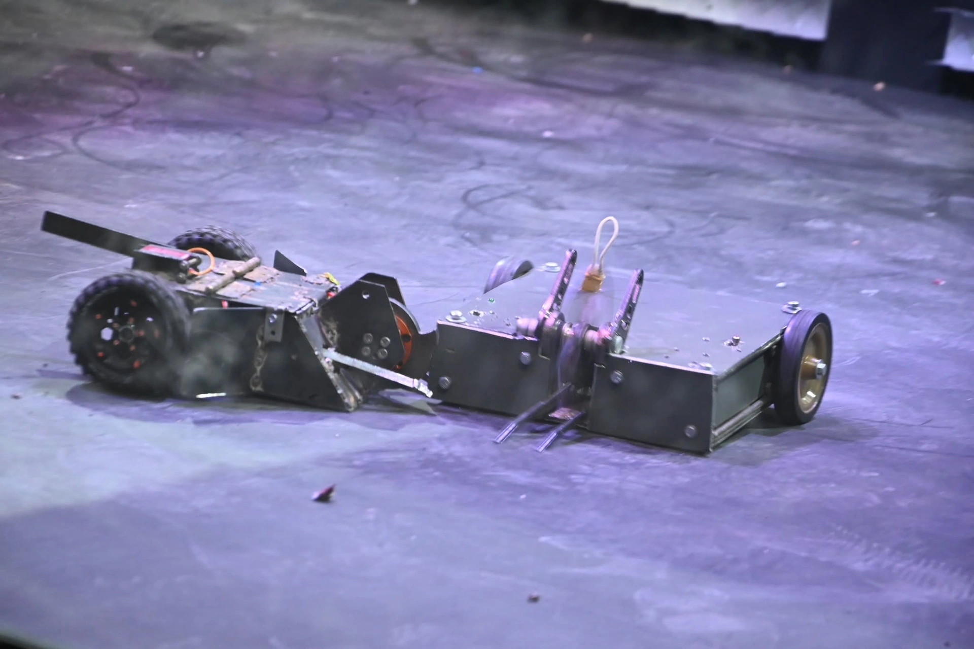 ROBO BATTLE 2025: Combat Robots, SUMO and 10,000+ Visitors, photo 6