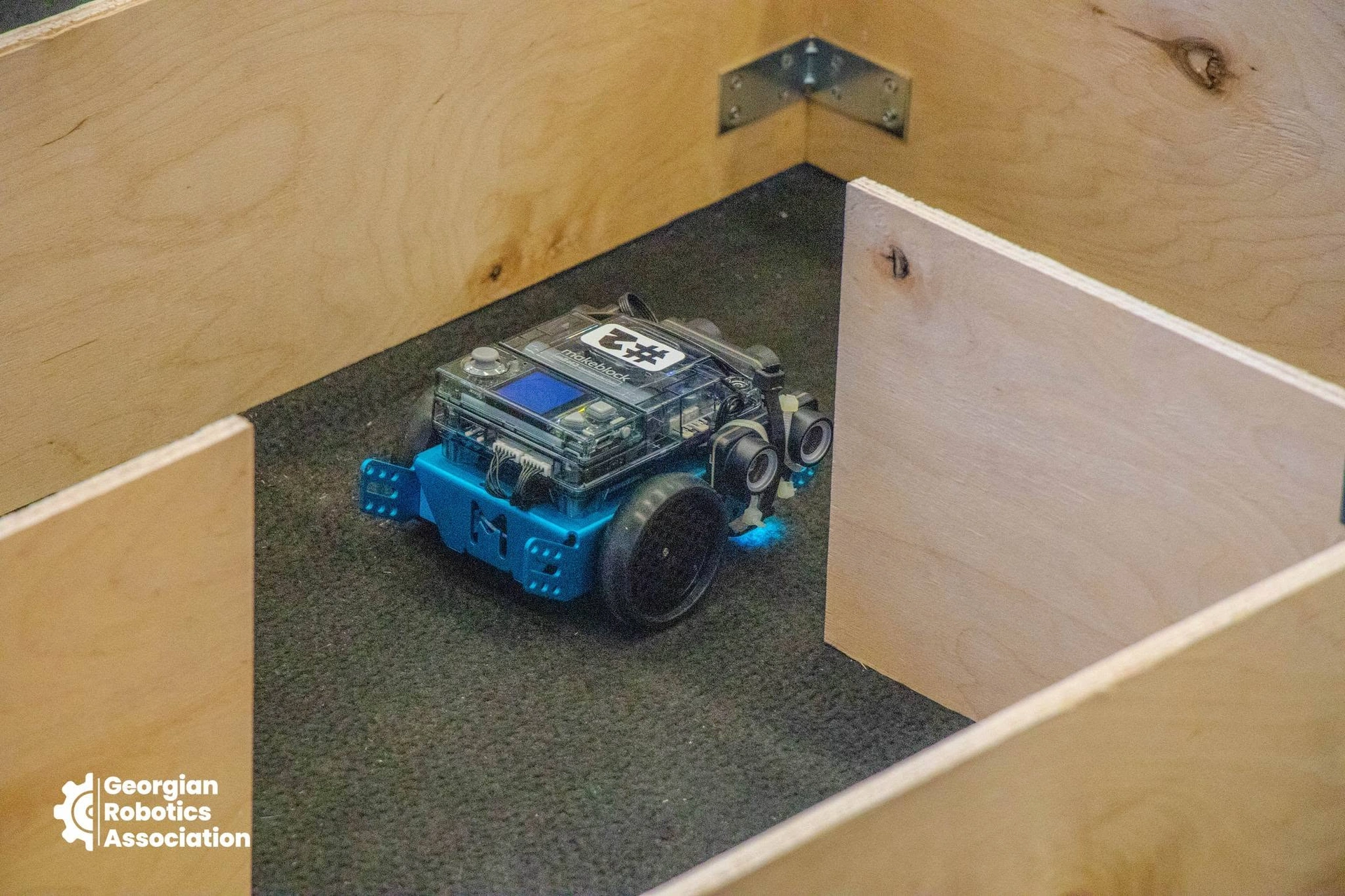 Robo Festival 2024: School Robots and SUMO Competition, photo 4