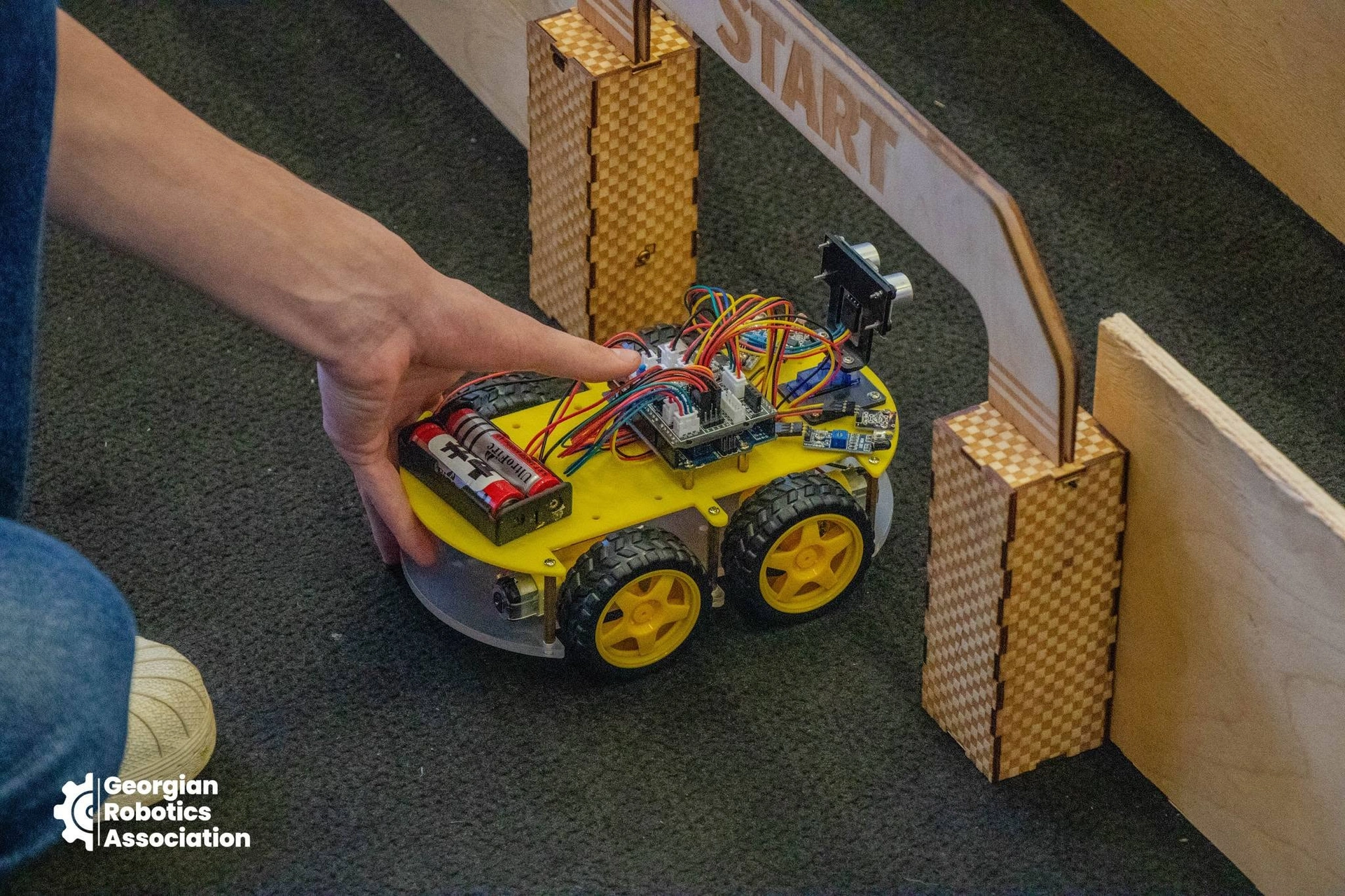 Robo Festival 2024: School Robots and SUMO Competition, photo 3