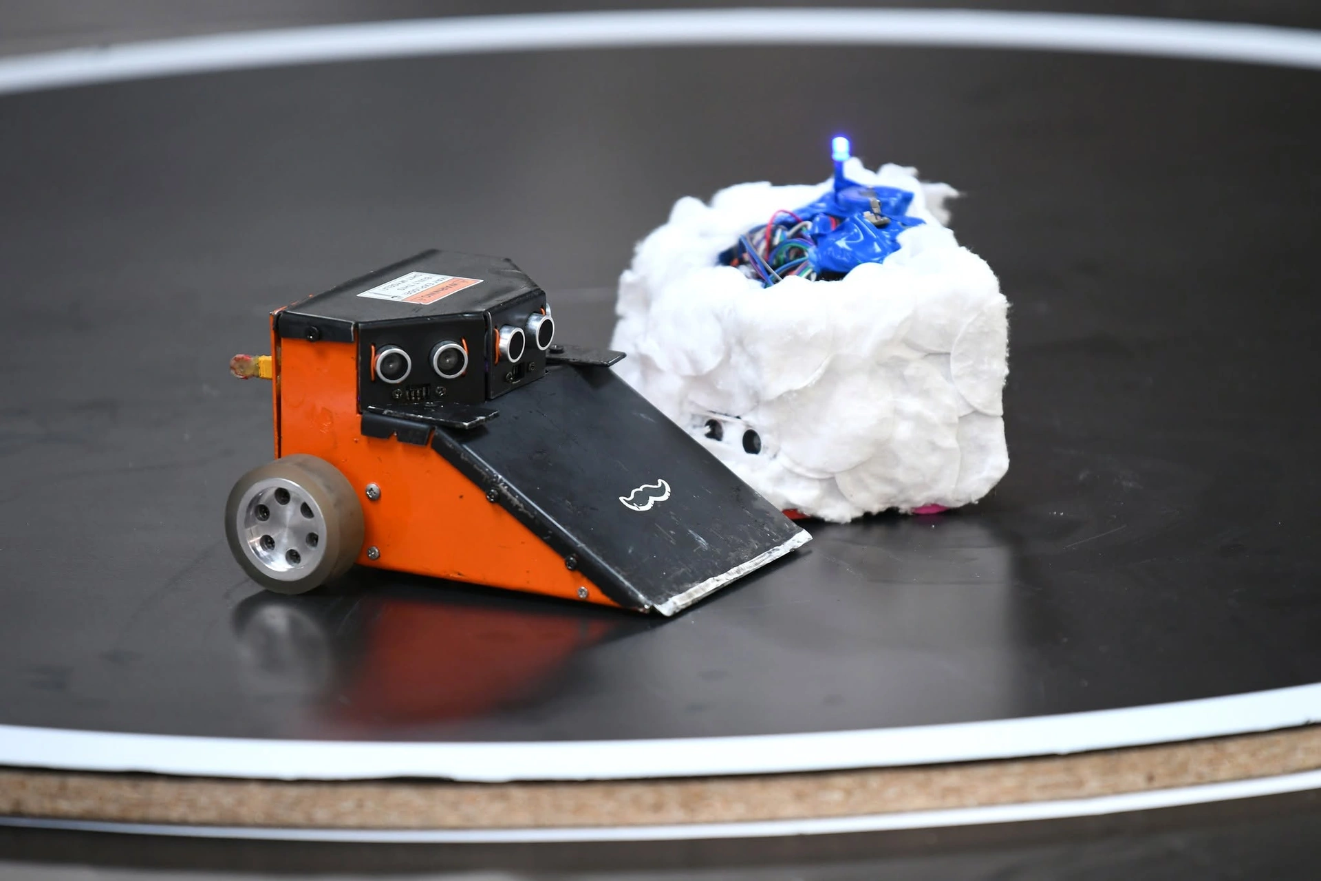 Georgian Robotics Championship 2026: SUMO and Line Follower, photo 3